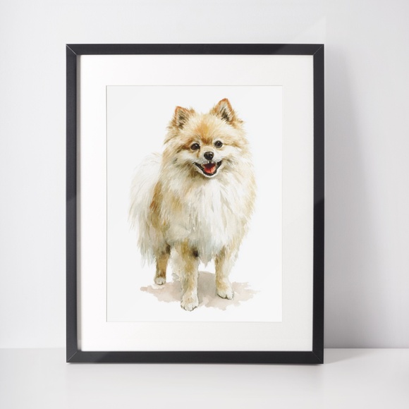 Watercolor Pomeranian Dog Portrait Art Print – Unframed Fine Art Poster - Picture 3 of 5